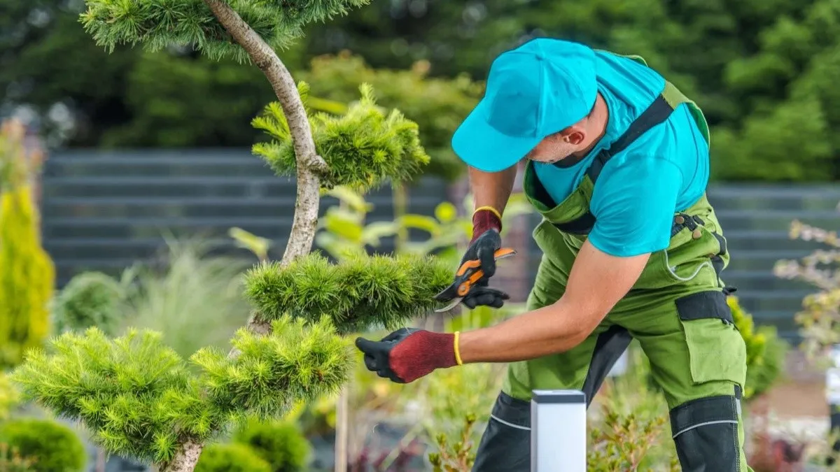 Disfrutemos mientras podamos: lanzan búsqueda laboral para jardinería y mantenimiento 